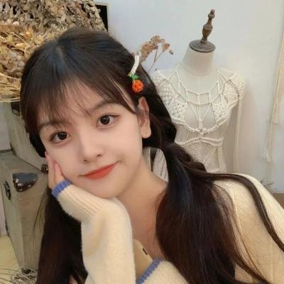 公主大人请赎罪